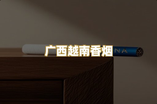 广西越南香烟